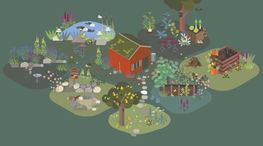 Grafisches Bild, das einen Garten mit verschiedenen Bereichen wie einem Teich, Komposthaufen, Obstbäumen und Insektenhotels zeigt