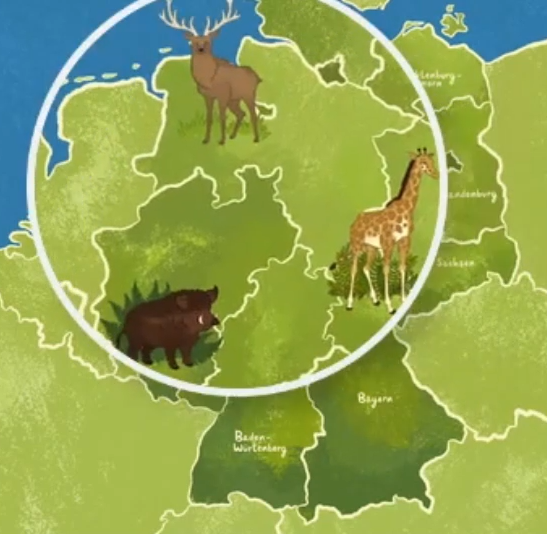 Comicähnliche Grafik, die Deutschland zeigt. In einer Lupe sieht man einen Hirsch, ein Wildschwein und eine Giraffe