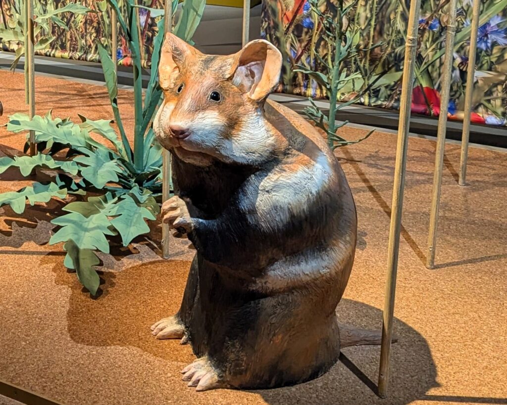 Hamsterfigur Nahaufnahme aus der Botschaft der Wildtiere in Hamburg