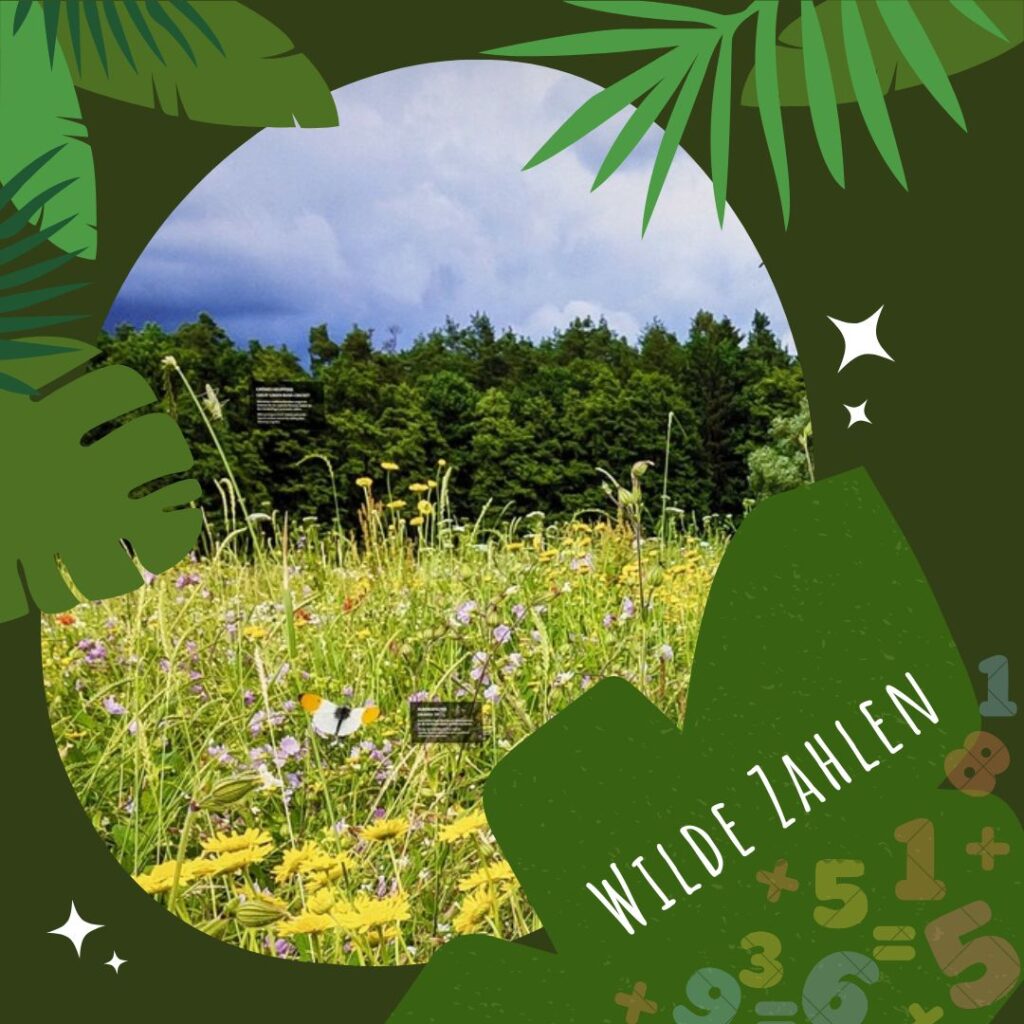 Grafisches Bild, das eine Wiese zeigt. Einblendung von Zahlen und Schrift "Wilde Zahlen".
