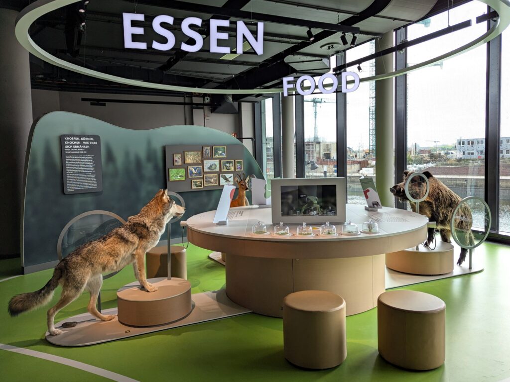Botschaft der Wildtiere, das Foto zeigt den Bereich Essen mit einem Wolf, Wildschwein und einem Reh