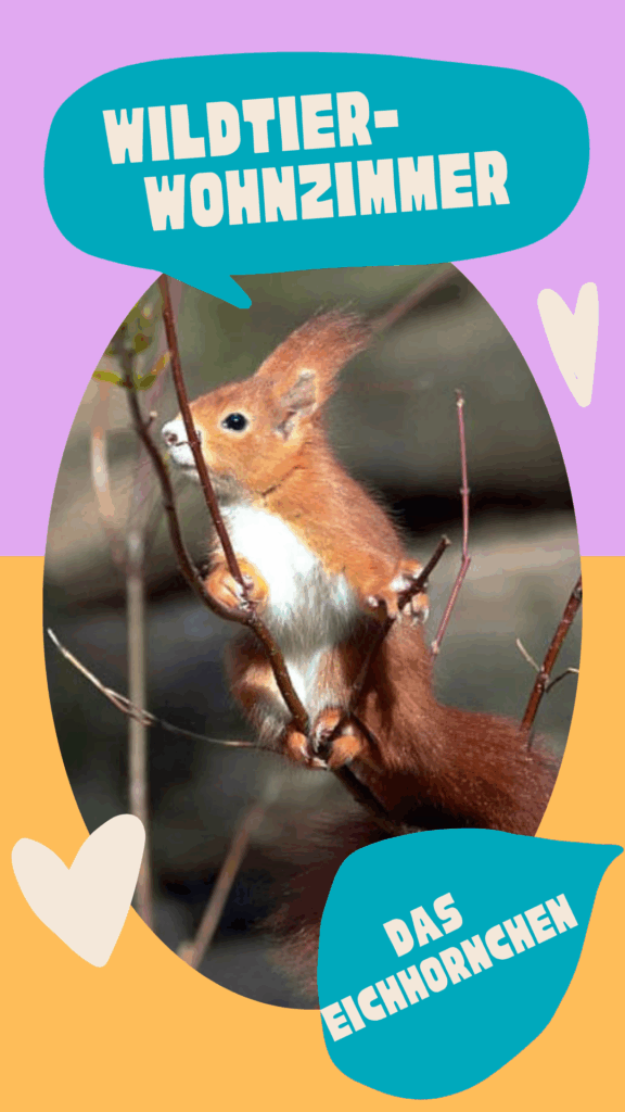 Grafik mit einem Eichhörnchen in einem Ast und der Schrift. Wildtier Wohnzimmer.