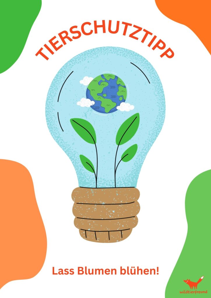 Illustration mit einer Glühbirne, in der eine Weltkugel mit grünen Pflanzen schwebt