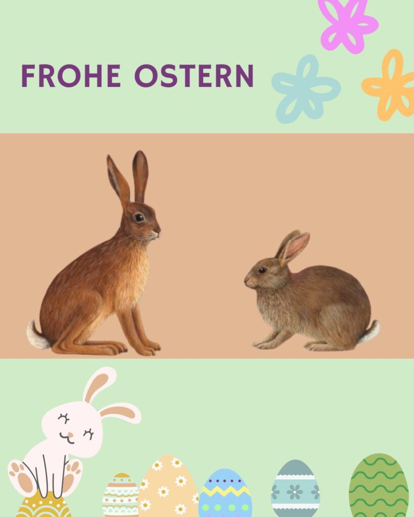 Illustration eines Hasen und eines Kaninchens eingebettet in eine Osterkarte 
