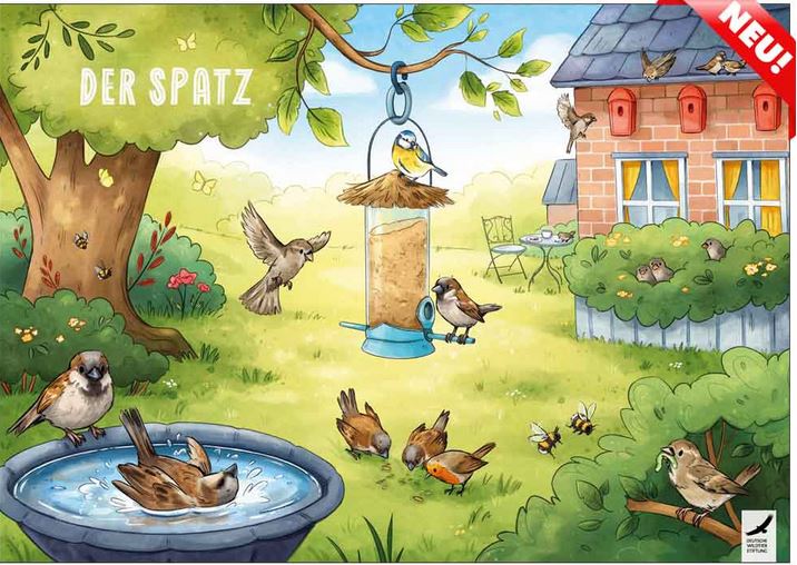 Comicbild von Spatzen in einem Garten, die planschen, fressen und fliegen 