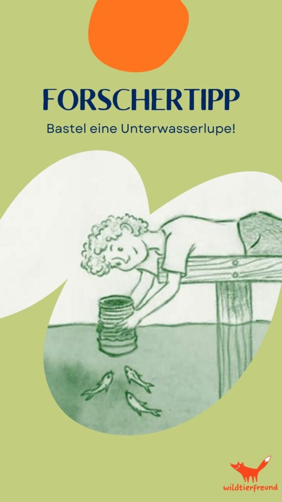 Grafisches Bild eines Jungen, der eine Dose unter Wasser hält und Fische beobachtet
