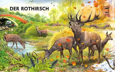 Illustrierte Zeichnung eines röhrenden Rothirsches mit mehreren Weibachen in einer waldartigen Umgebung